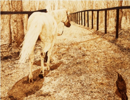 �E�b�h�o�[�j���O