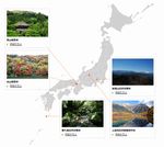 ���S�҂̂��߂̃g���[�X���ʉ拳��